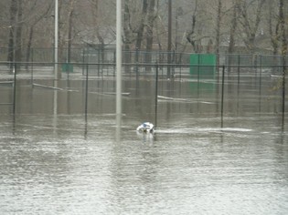 Flooding%20--%20sunken%20tennis%20courts.jpg