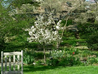 TNAC%20Garden.jpg