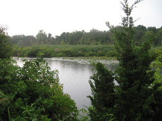 BPP%20pond.jpg