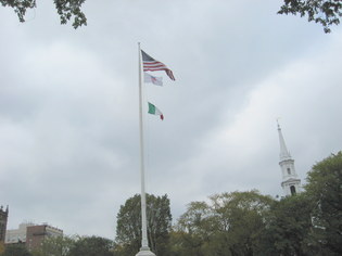 flags%20on%20green.jpg