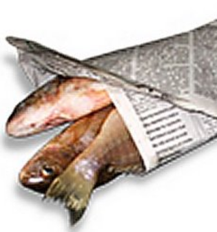 fish%20wrap%20paper.png